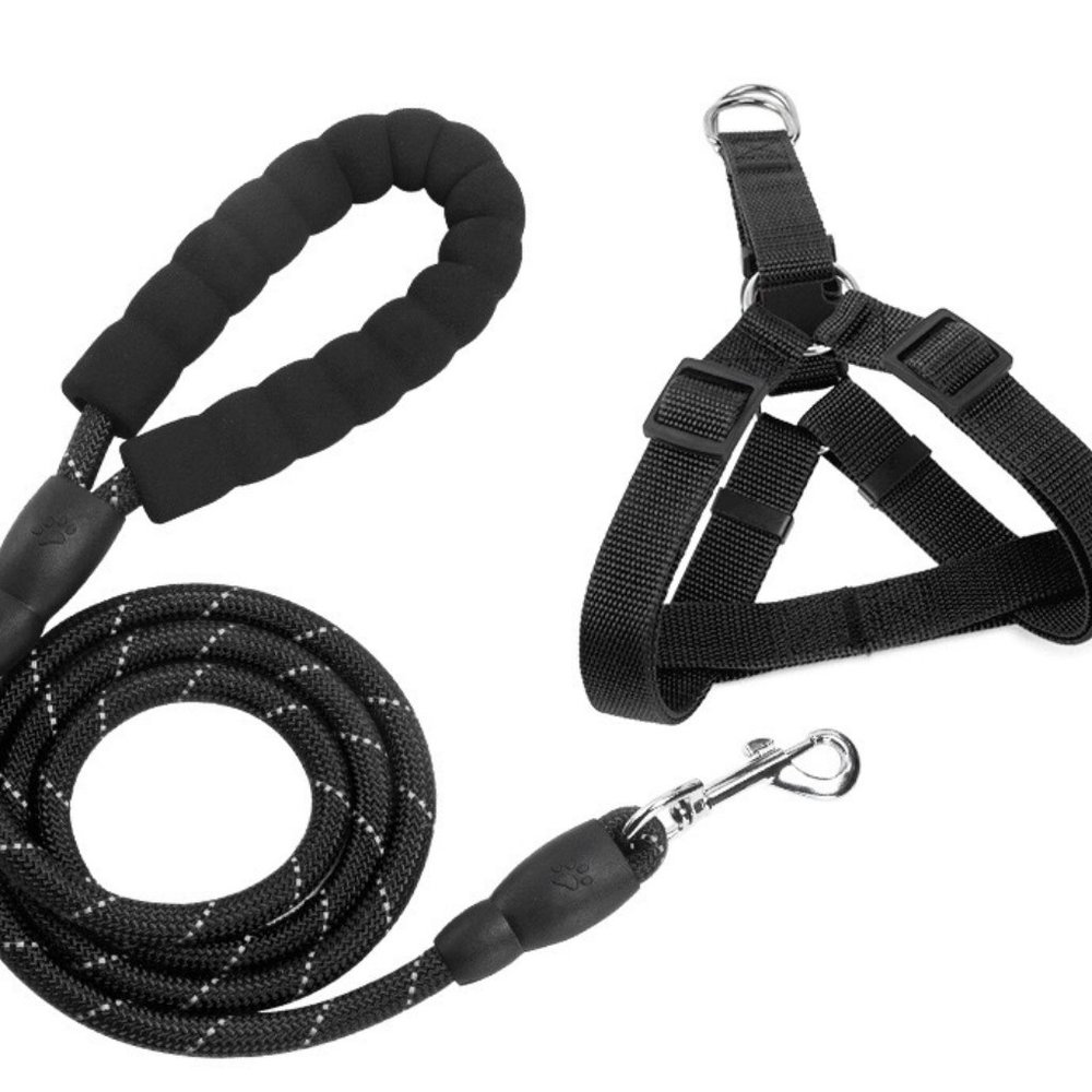 Reflective Dog Leashes & Harness XL for large dogs